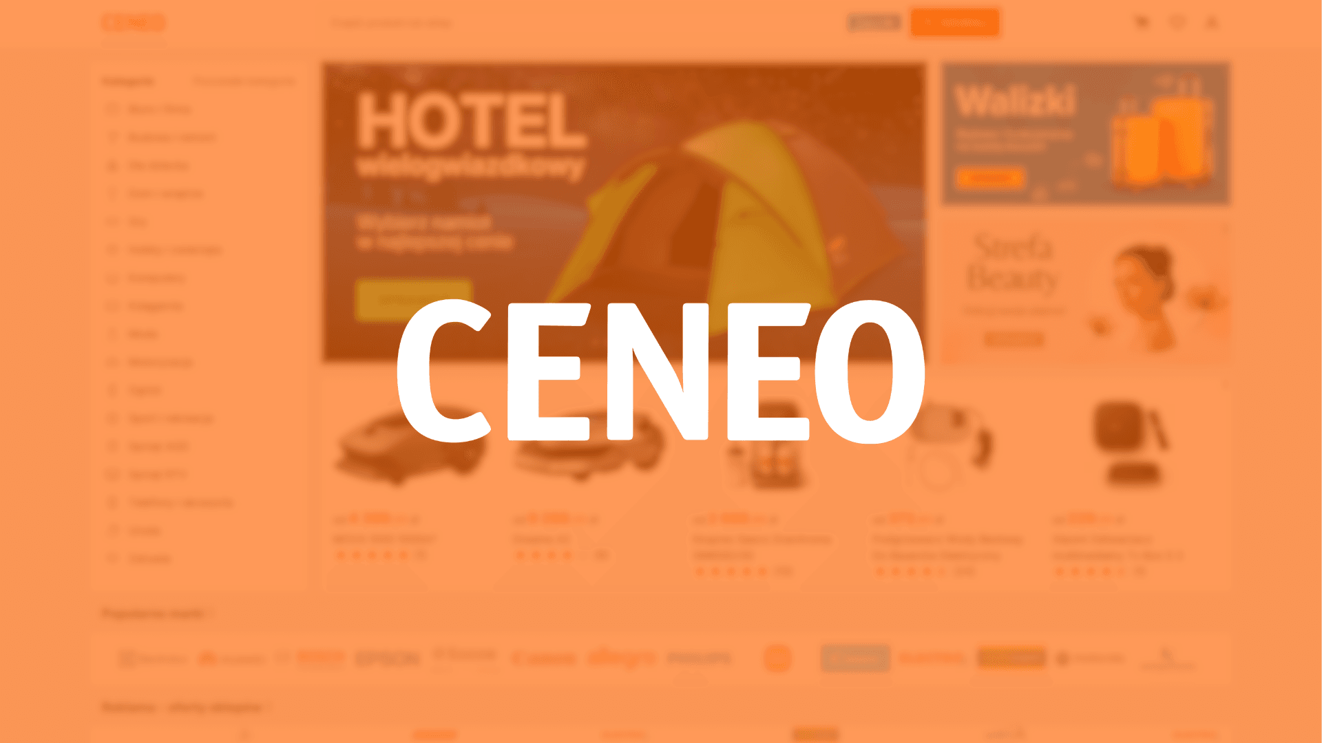 Vaše vstupenka do světa e-commerce: jak na Ceneo prodávat se ziskem