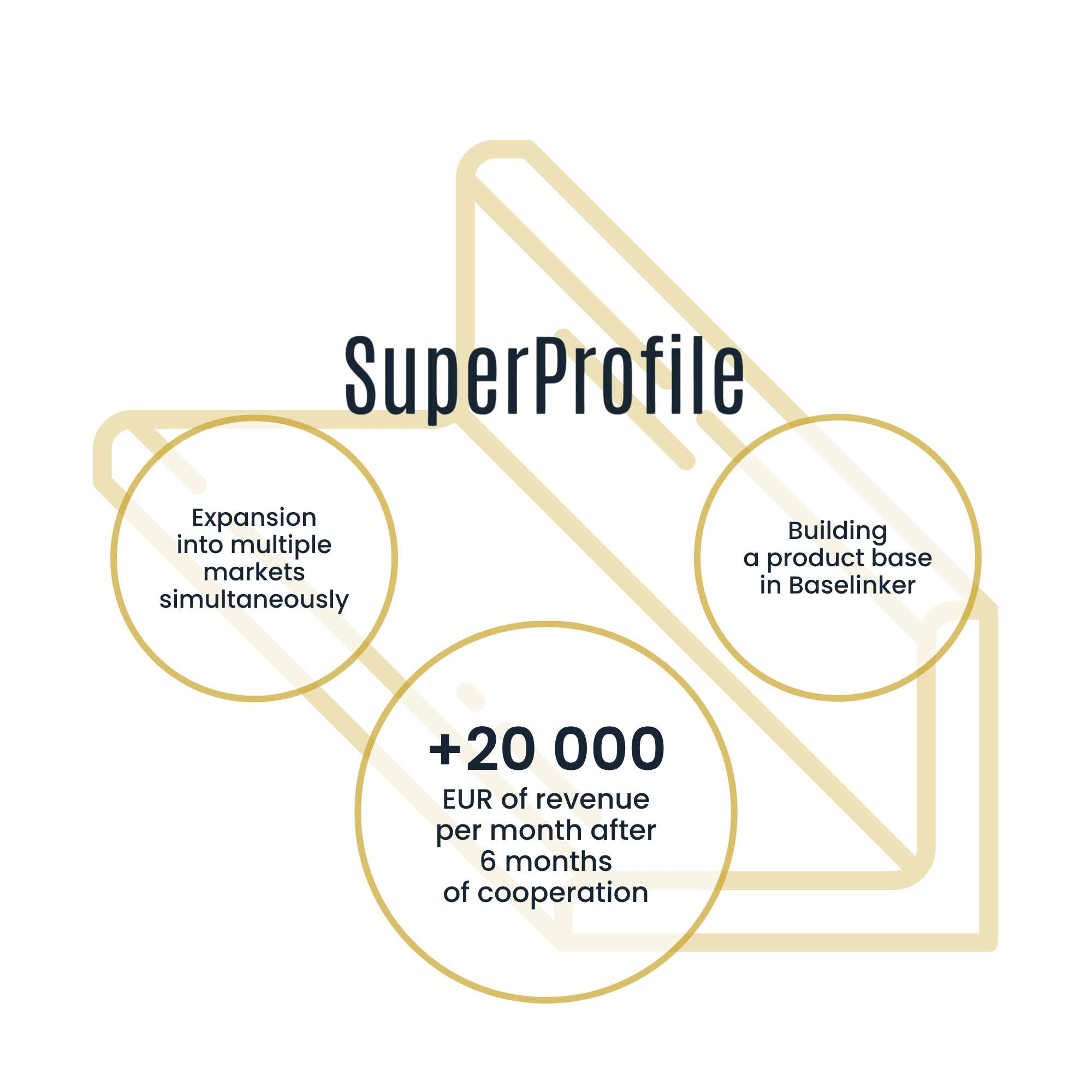 SuperProfile | Case Study Raise Your Sales