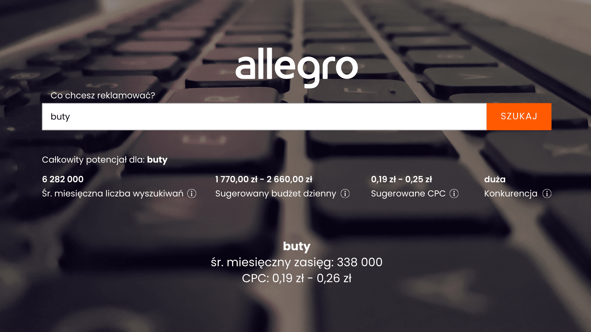 Plánovač kampaní Allegro: jak zjistit, co zákazníci hledají?