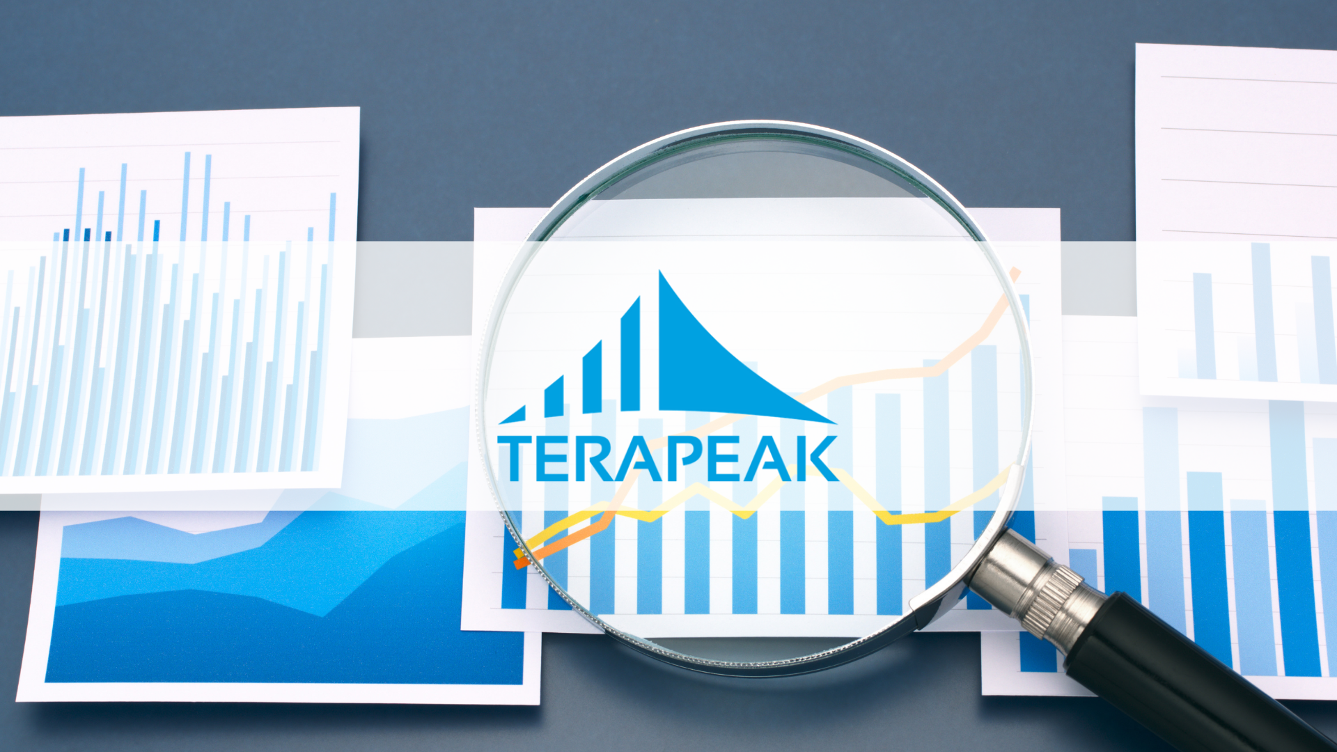 Logo Terapeak ve skle lupy nad sloupcovými grafy a trendovými křivkami – průzkum poptávky na eBayi