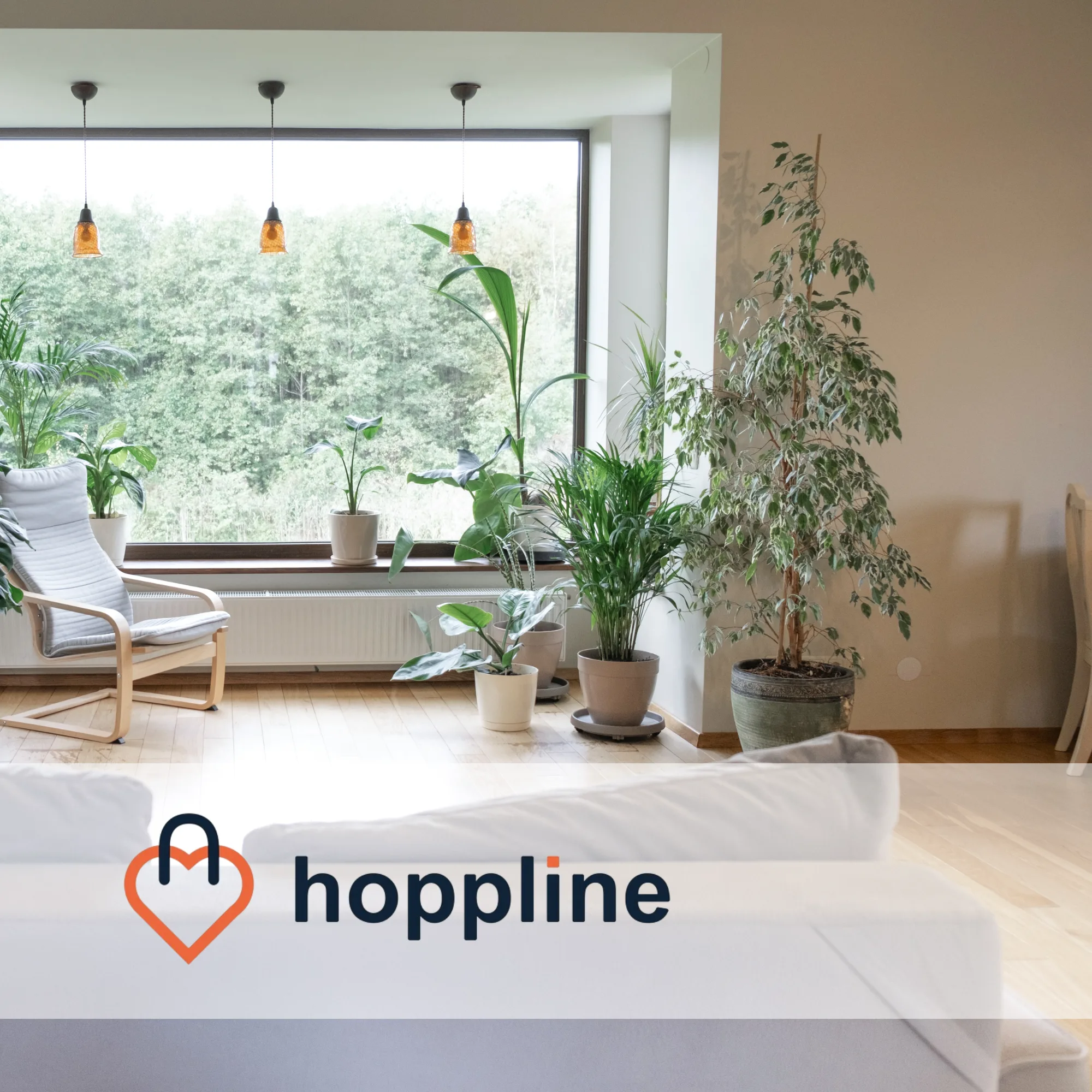 Hoppline | Case Study Raise Your Sales