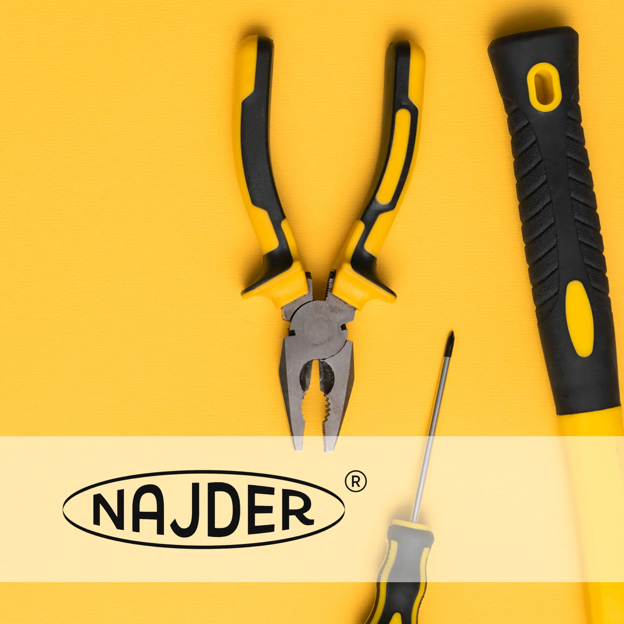 Najder | Př&iacute;padov&aacute; studie Raise Your Sales