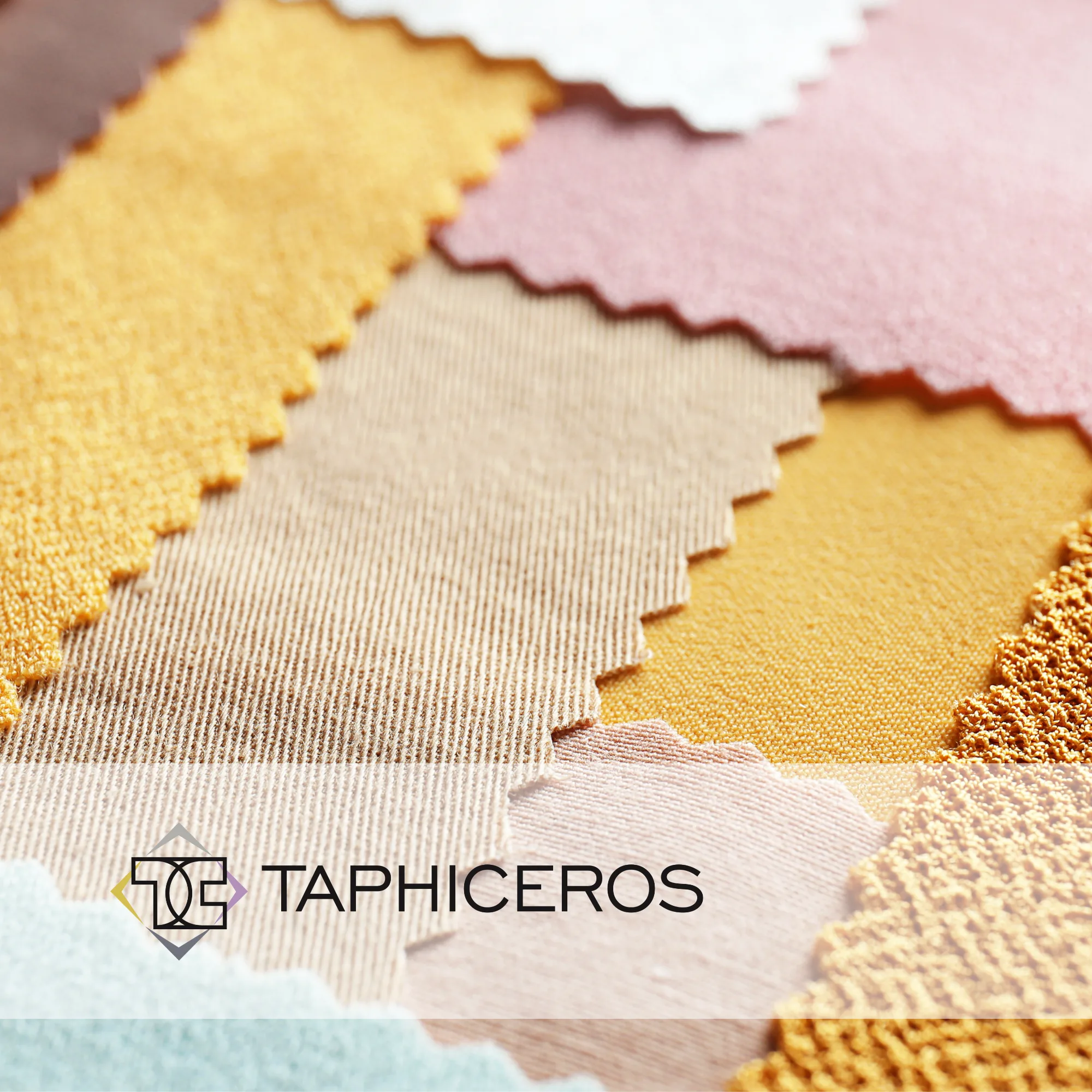 Taphiceros | Př&iacute;padov&aacute; studie Raise Your Sales
