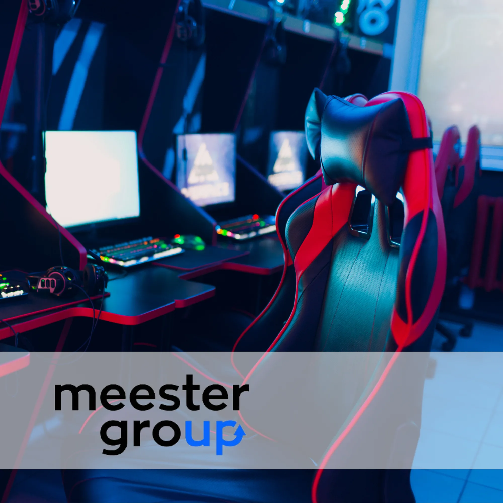 Meester Group | Př&iacute;padov&aacute; studie Raise Your Sales